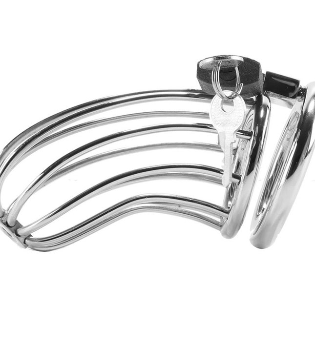 METAL HARD - BIRD CHASTITY RING CAGE