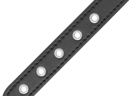 DARKNESS - PENIS RING WITH STRAP