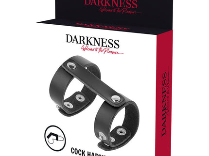 DARKNESS - LEATHER ADJUSTABLE PENIS AND TESTICLE RING