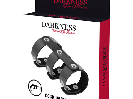 DARKNESS - ADJUSTABLE LEATHER DOUBLE PENIS AND TESTICLE RING