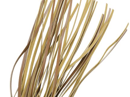 FETISH SUBMISSIVE ORIGEN - VEGAN LEATHER WHIP