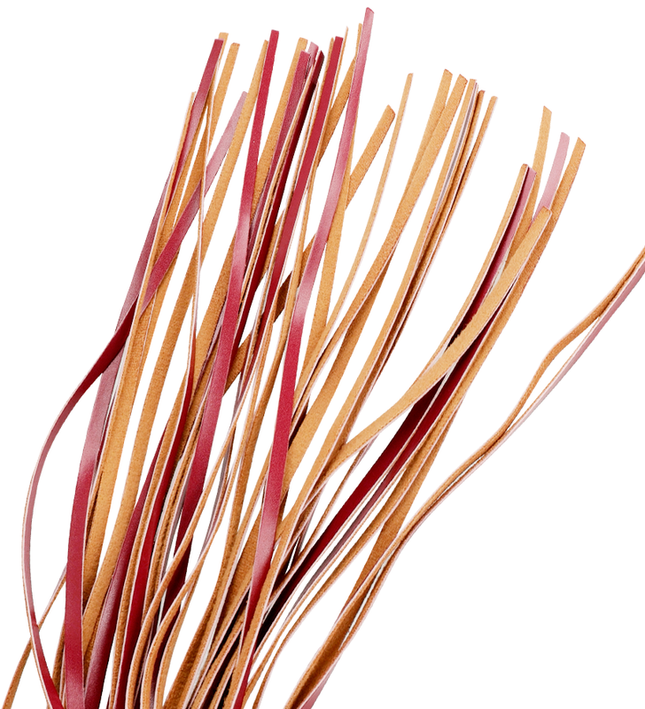 FETISH SUBMISSIVE DARK ROOM - VEGAN LEATHER WHIP