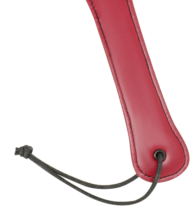 FETISH SUBMISSIVE DARK ROOM - VEGAN LEATHER WHIP