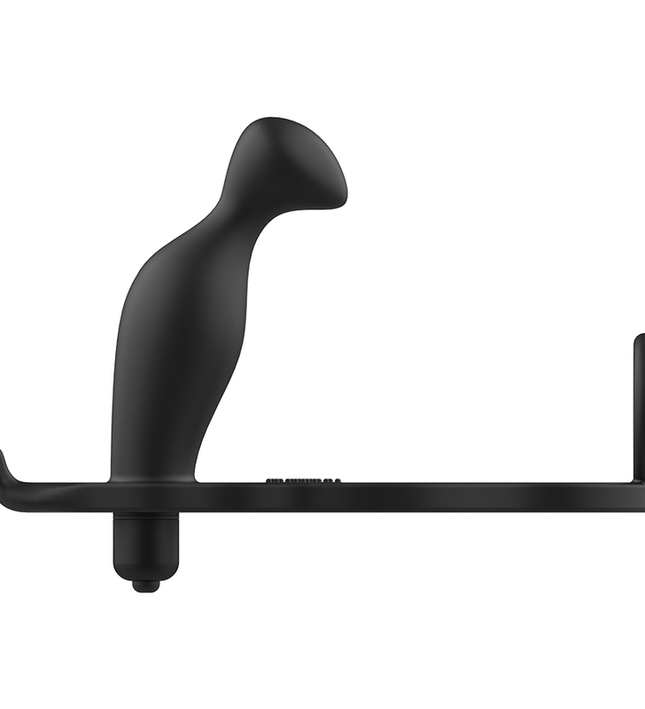 ADDICTED TOYS - ANAL PLUG WITH BLACK SILICONE RING 12 CM