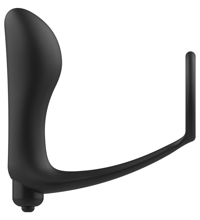 ADDICTED TOYS - VIBRATORY ANAL PLUG WITH PENIS RING